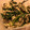 tomoyo0722's cooksnap of when they made ほうれん草としめじの白和え.