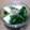 櫻井愛's cooksnap of when they made 簡単タケノコとカブの葉＆ほうれん草煮浸し.