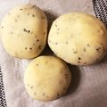 ばやし's cooksnap of when they made 小麦粉の簡単パン.