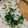 ででんね's cooksnap of when they made たまごかけご飯.
