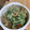 kusarbucks's cooksnap of when they made コクうま　エリンギと水菜のオイスター炒め.