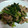 かさくまさん's cooksnap of when they made 豚と小松菜のからし炒め.