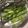 あゆみだ21's cooksnap of when they made 簡単！アスパラガスのホイル焼き✩.