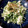 だんご社長's cooksnap of when they made 水菜の白和え.