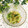 なつき☆ミ's cooksnap of when they made 塩酒粕で旨♪レタスと桜海老のレンジお浸し.