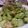みならいcook's cooksnap of when they made アボガドとスモークサーモンのサラダ.