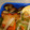 なないろの雪's cooksnap of when they made あと一品！簡単しいたけ.