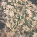 トラととら's cooksnap of when they made もんじゃの生地.