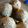 curisupin's cooksnap of when they made 簡単！なんちゃっておはぎ.
