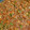 クック9W382S☆'s cooksnap of when they made 簡単！旨い！早い！キーマカレー.