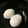 オールボン's cooksnap of when they made ゆで玉子☆丁寧な作り方.