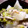 クックHRK☆'s cooksnap of when they made かぶとブロッコリーのとろとろそぼろあん♪.