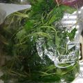 かいあママ's cooksnap of when they made 冷凍みつば.