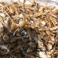 knys's cooksnap of when they made 超簡単、小魚の佃煮？.