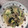 クックXFX63H☆'s cooksnap of when they made 白菜のとろとろクリーム煮.