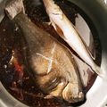 うーとカイのママ's cooksnap of when they made カレイの煮付け・おろし方(さばき方).