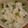 食いしん坊山ガール's cooksnap of when they made 青森名物いちご煮で簡単豪華、炊き込みご飯.