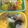 †さっちん†'s cooksnap of when they made キャラ弁★ポケモンおにぎり.