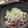 ゆちゃん212's cooksnap of when they made オカズに、ツマミに！ブリと胡麻油のネギ塩.