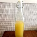 ともっち21's cooksnap of when they made フルーツで簡単 手作り酵素シロップ.