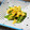 fl＊＊'s cooksnap of when they made 簡単！アスパラの卵炒め.