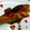 sacon72's cooksnap of when they made はまちのしょうが焼き.