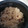 クックE4WO84☆'s cooksnap of when they made うちの炊飯器はこの分量！のお赤飯.