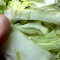 RamiHi's cooksnap of when they made シャキシャキ白菜の、昆布茶の浅漬け！.