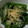 ヨシヨッシー's cooksnap of when they made 【簡単】ほうれん草の和え物.