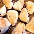 碧のうみ's cooksnap of when they made クランベリー,ひまわりの種リュスティック.
