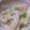 アリマ's cooksnap of when they made シャキシャキ♡ねぎ塩れんこん♡.