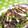 みっくママ's cooksnap of when they made お野菜たくさん白滝のきんぴら♡.