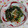 イチゴ、イチゴ。's cooksnap of when they made えのきほうれん草のおひたし.