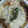 クック1L6OF8☆'s cooksnap of when they made 舞茸とトマトと鯖缶のチーズ焼き.