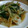 よし33☆'s cooksnap of when they made やさいをパクパク♪鱈の中華風あんかけ.