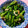 Ruca＊'s cooksnap of when they made 菜花とちくわの海苔わさび和え.