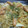 まぶたん's cooksnap of when they made チーズとウィンナーの蒸し焼きそば☆.