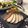 Amalka's cooksnap of when they made 豚バラ蒸しチャーシュー.