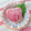 しゅい6's cooksnap of when they made 塩酒粕でうまうま♪トマトの丸ごと漬け.