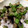 クックZBW05K☆'s cooksnap of when they made ししとうとナスの挽肉炒め.