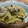 mamaさん1221's cooksnap of when they made 豚肉と大根の煮物.