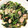リエル2005's cooksnap of when they made ごま油香るほうれん草とベーコンの中華炒め.