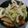 鈴宮蒼's cooksnap of when they made 簡単10分！白菜と竹輪の中華炒め.