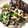 ちづりんも's cooksnap of when they made ナスとシメジの煮浸し.