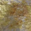 クックBGSX9R☆'s cooksnap of when they made レンジで簡単、れんこんチーズのカリカリ焼.
