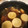 えっぽこぽん's cooksnap of when they made お箸で切れる♪スペアリブのコトコト煮込み.