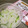 ジョングレ's cooksnap of when they made 塩もみ不要！大根ときゅうりのさっぱり漬け.