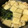 どんこちゃん's cooksnap of when they made ☆つるっと☆高野豆腐と帆立の旨煮☆.
