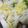 みづほまま's cooksnap of when they made 定番常備菜!《白菜の甘酢漬け》.