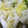 みづほまま's cooksnap of when they made 定番常備菜!《白菜の甘酢漬け》.